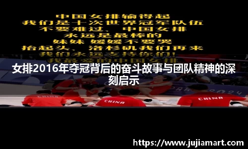 女排2016年夺冠背后的奋斗故事与团队精神的深刻启示