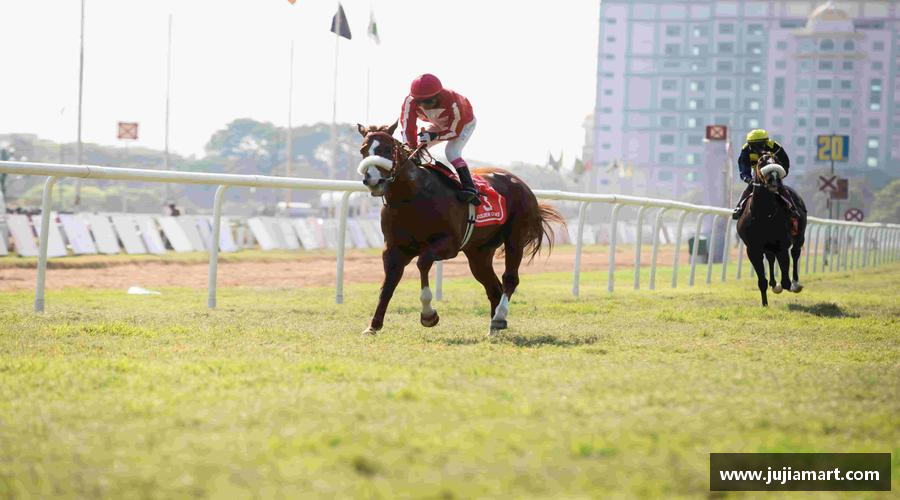 燃烧激情，追逐胜利